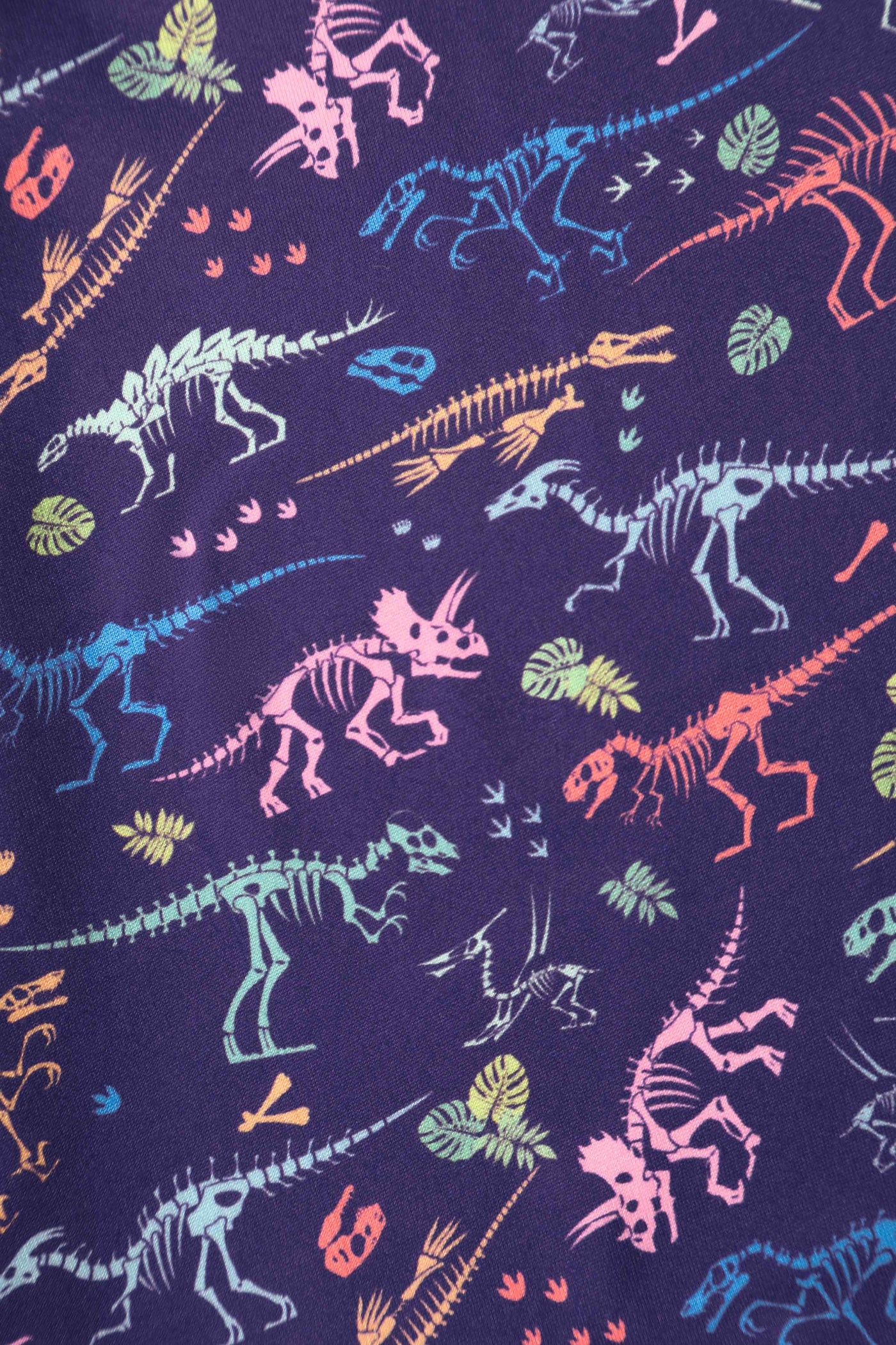 Purple Dinosaur Skeleton Fossil Print