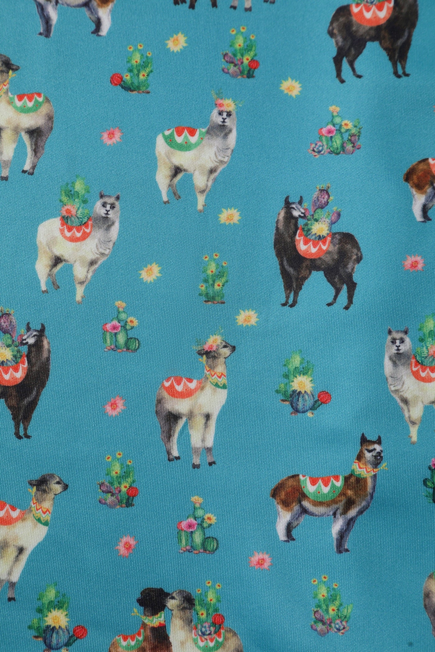Fabric close up for turquoise llama cactus print