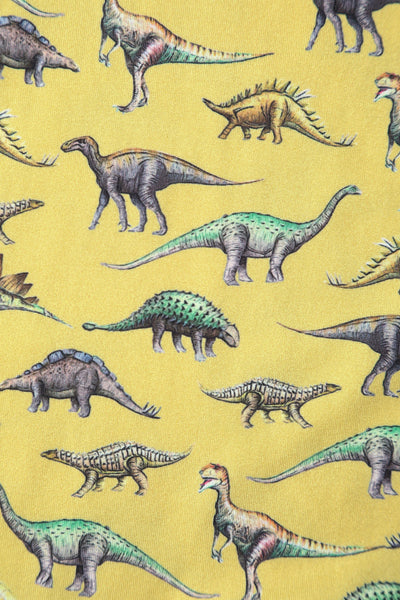 Close up view of Dinosaur Yellow Long Sleeved Dress