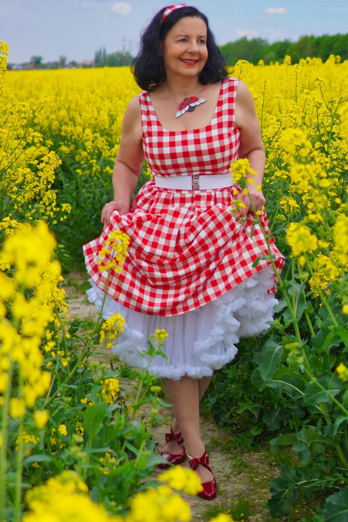 Retro Red Gingham Fit and Flared Dress