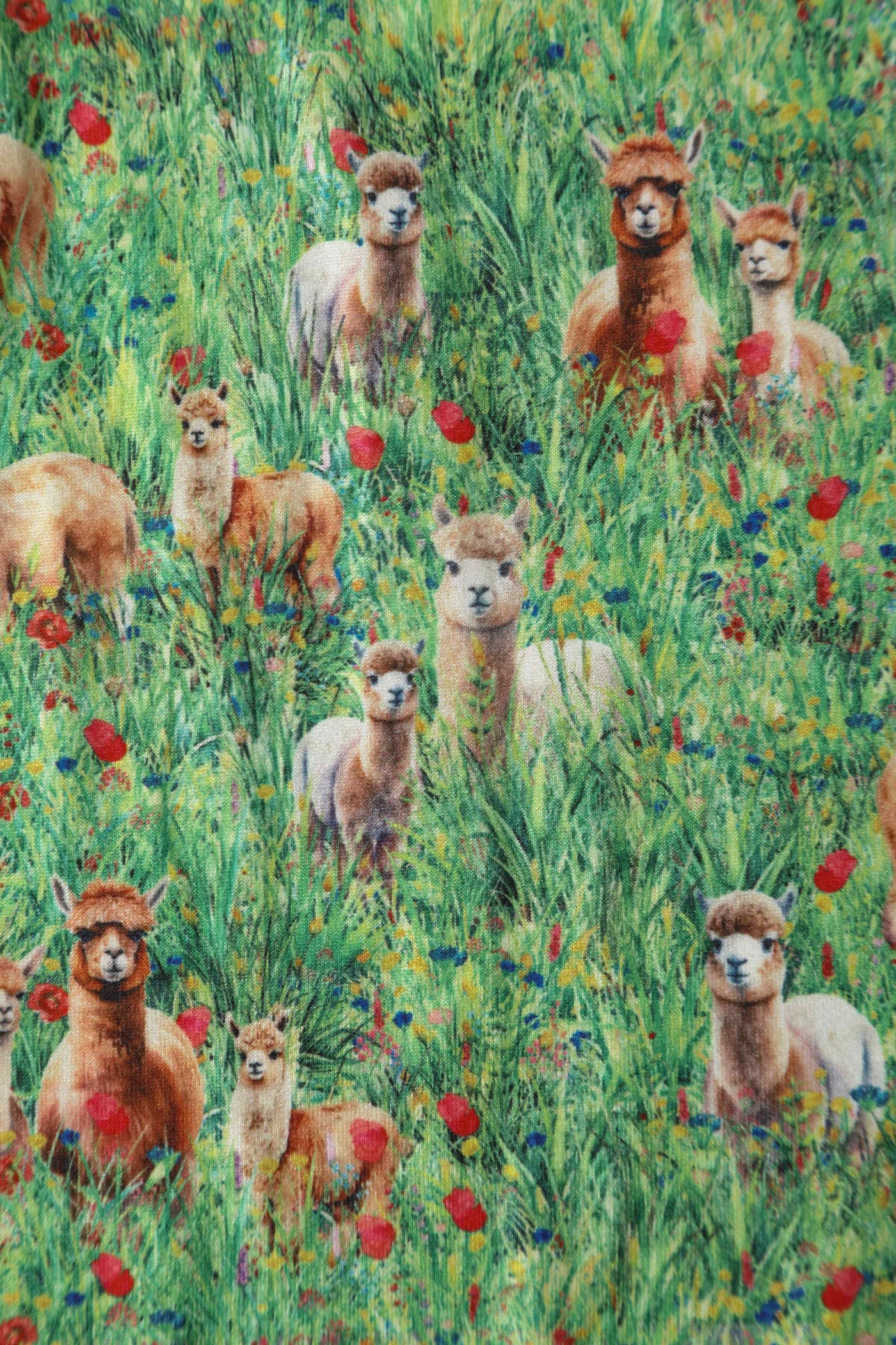 Close up View of Alpaca Field Print Long Sleeved Dress
