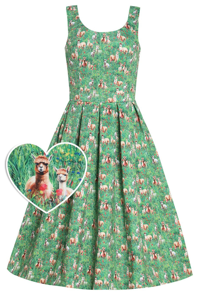 Alpaca In The Field Flared Dress