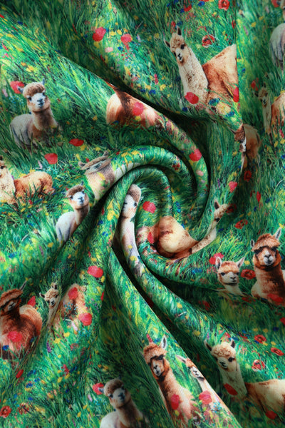 Alpaca In The Field Flared Dress