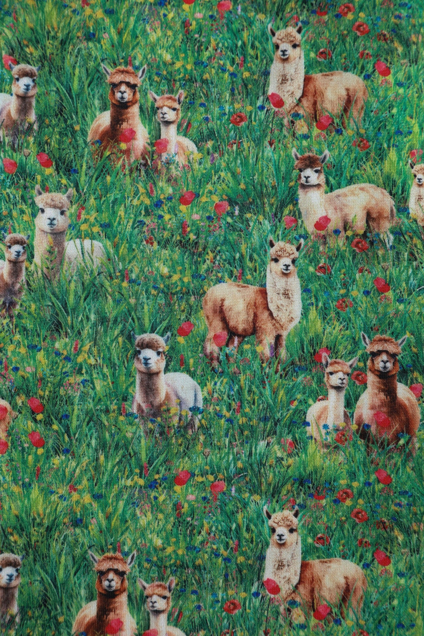 Alpaca In The Field Flared Dress