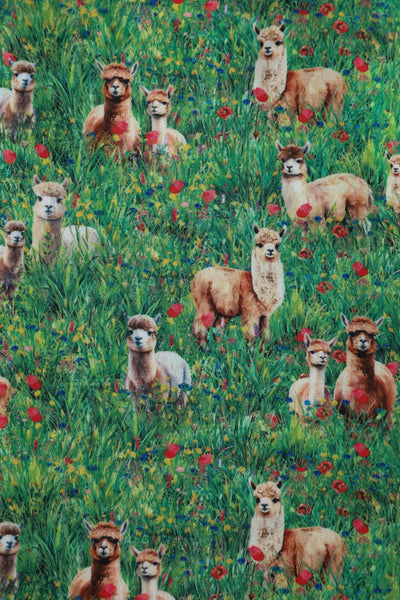 Alpaca In The Field Flared Dress