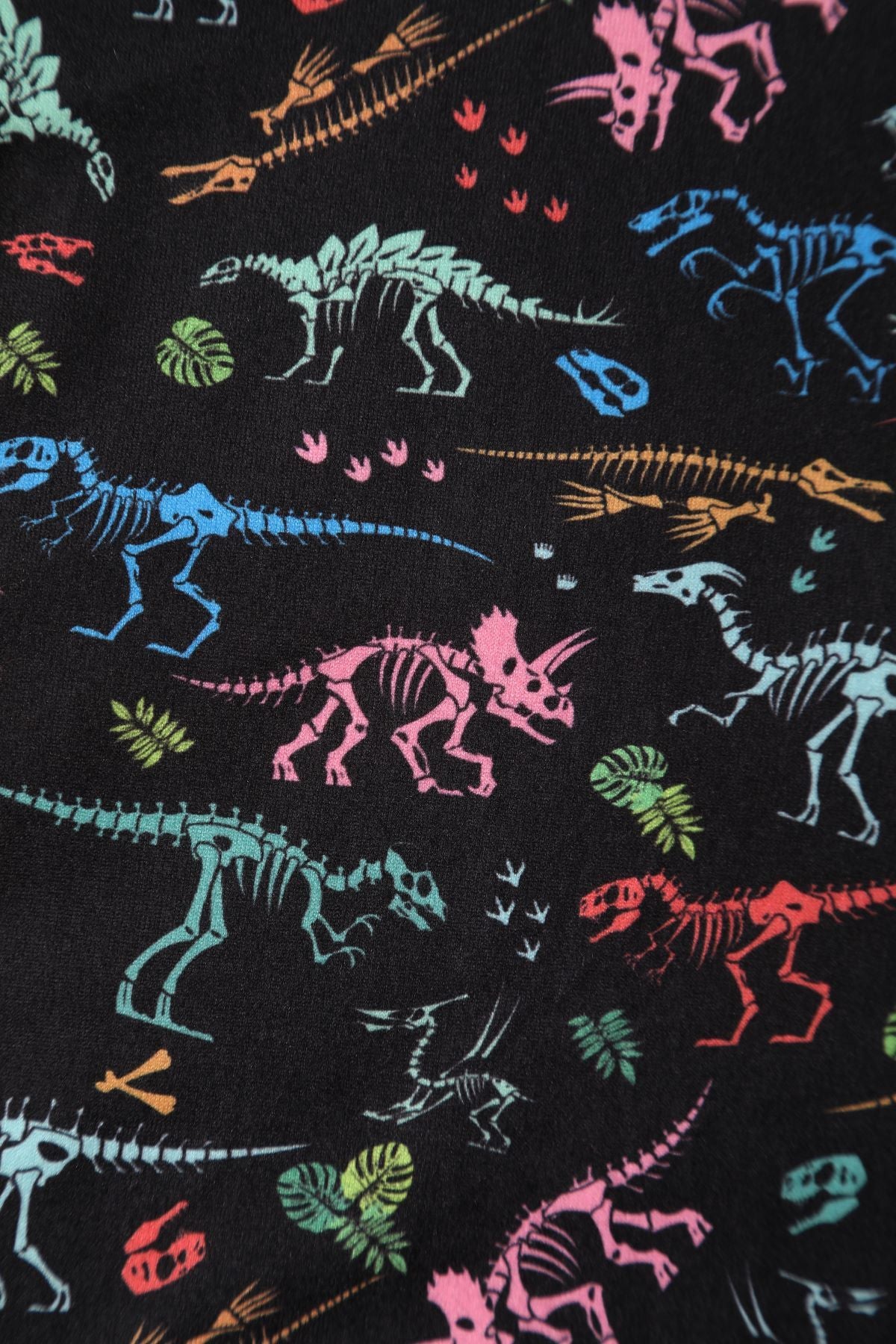 Black Dinosaur skeleton Fossil print close up