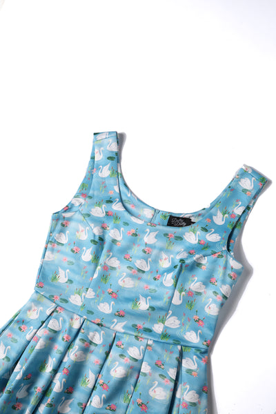 Blue Swan Lake Swing Dress