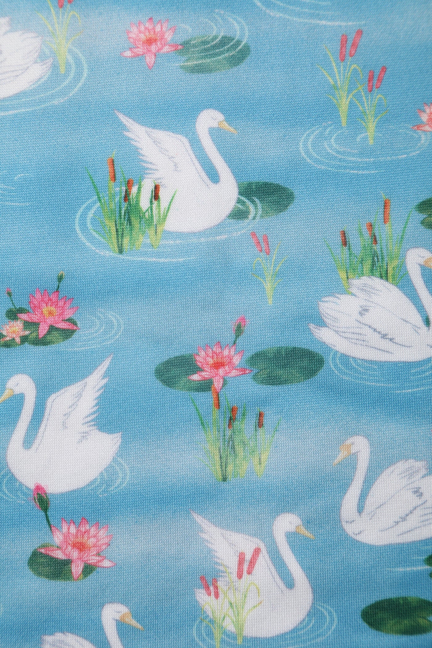 Blue Swan Lake Swing Dress