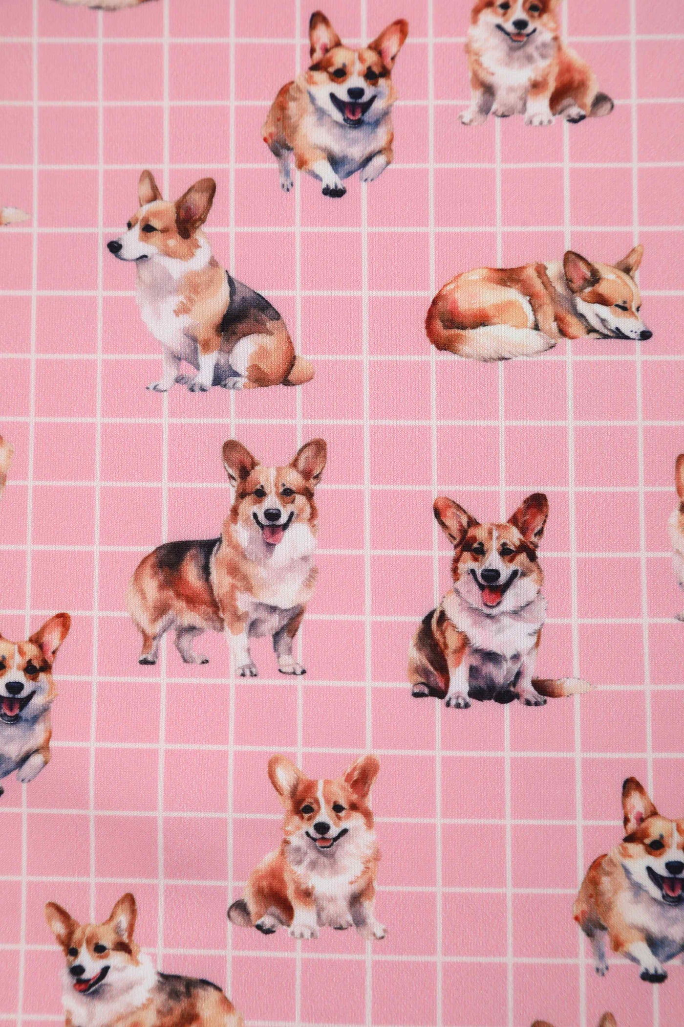 Close up view of Corgi Pink Swing Dress