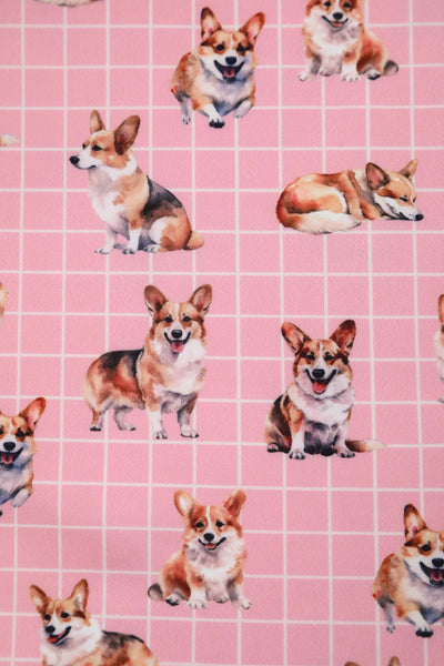 Close up view of Corgi Pink Swing Dress