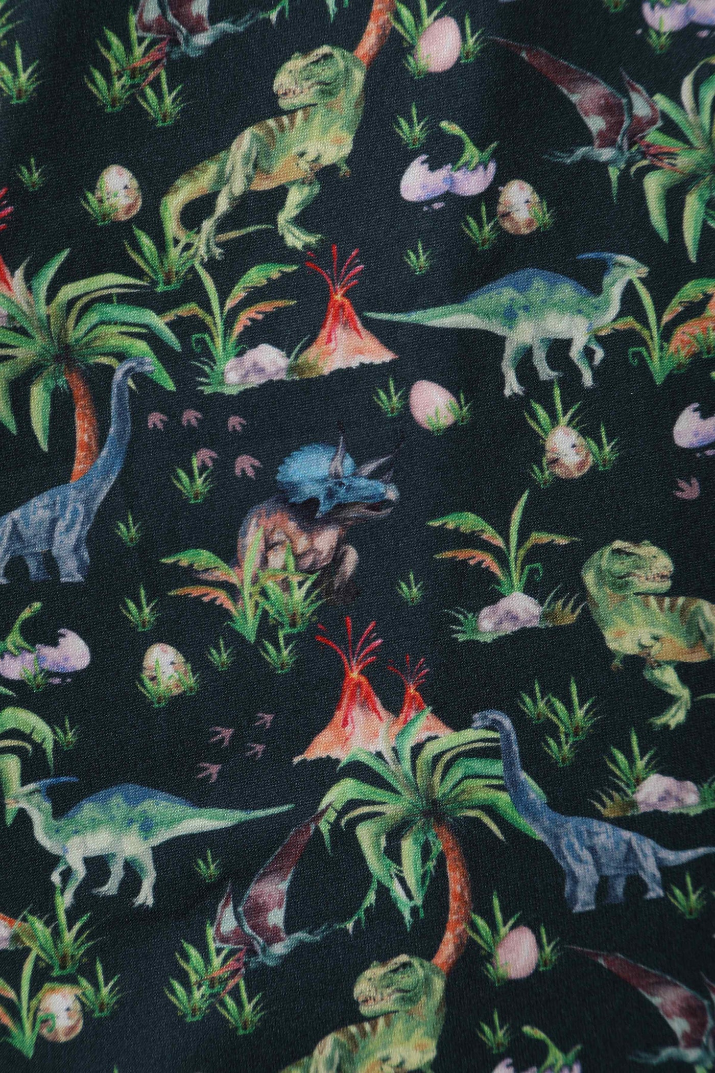 Close up View of Dinosaur and Forest Print Long Sleeved Dress in Green