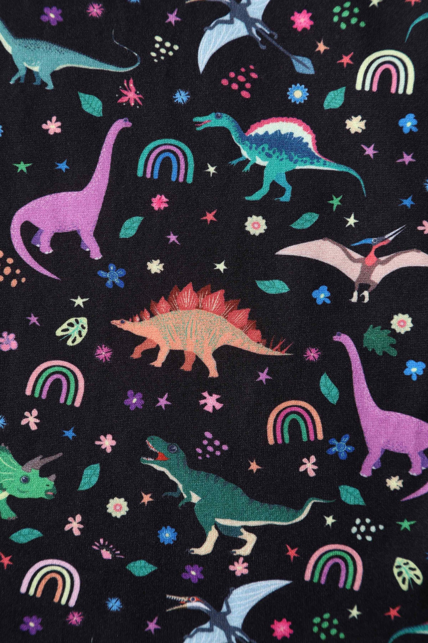 Close up View of Dinosaur and Rainbow Long Sleeved Dress