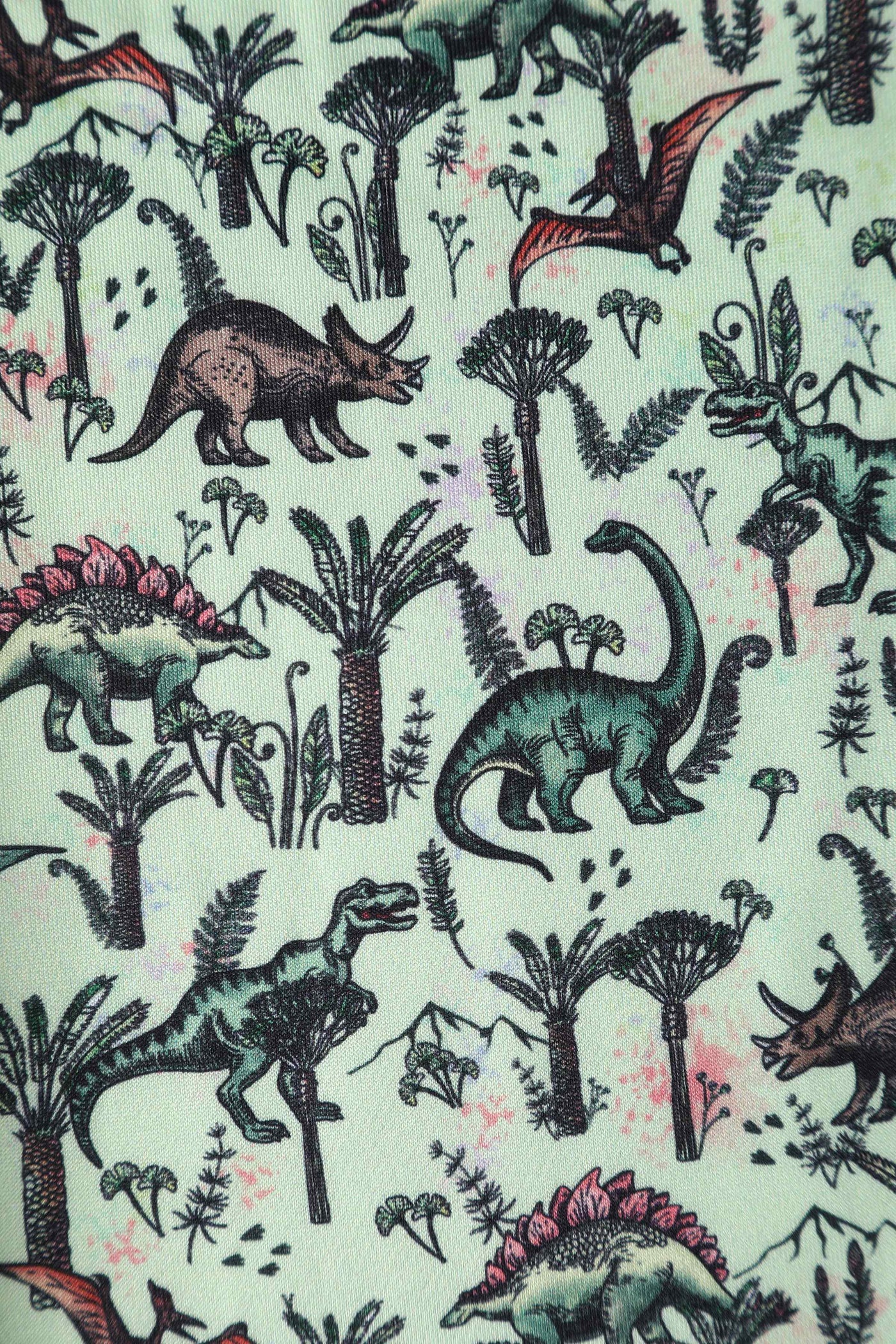 Close up View of Dinosaur Green Flared Dress in Light Green