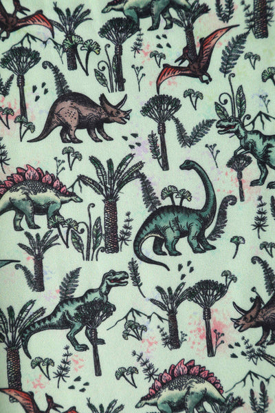 Close up View of Dinosaur Green Flared Dress in Light Green