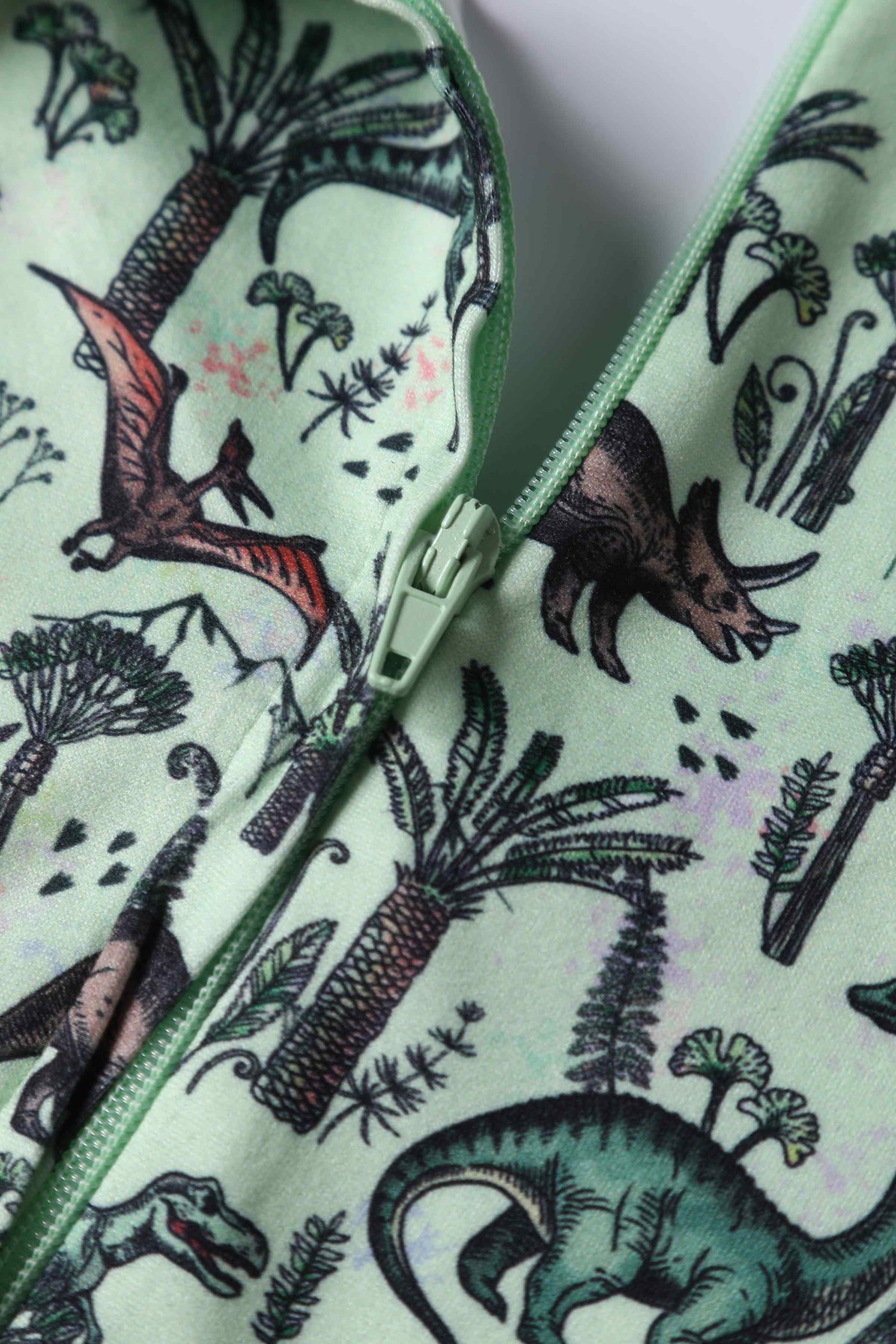 Close up view of Dinosaur Print Long-Sleeved Dress in Light Green