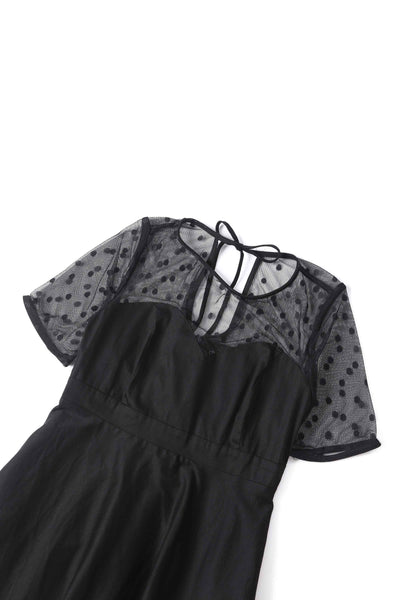 Close up view of Elizabeth II Short Sleeved Polka Dot Mesh Dress