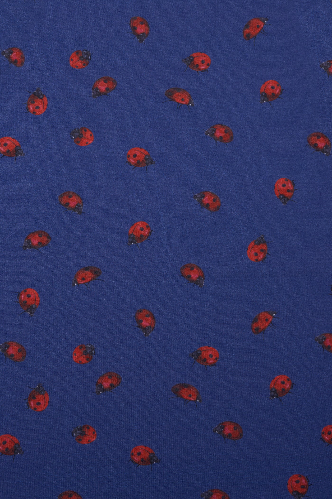 Close up View of Kids Ladybug Navy Dress