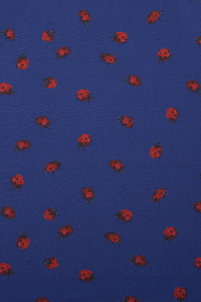 Close up View of Kids Ladybug Navy Dress