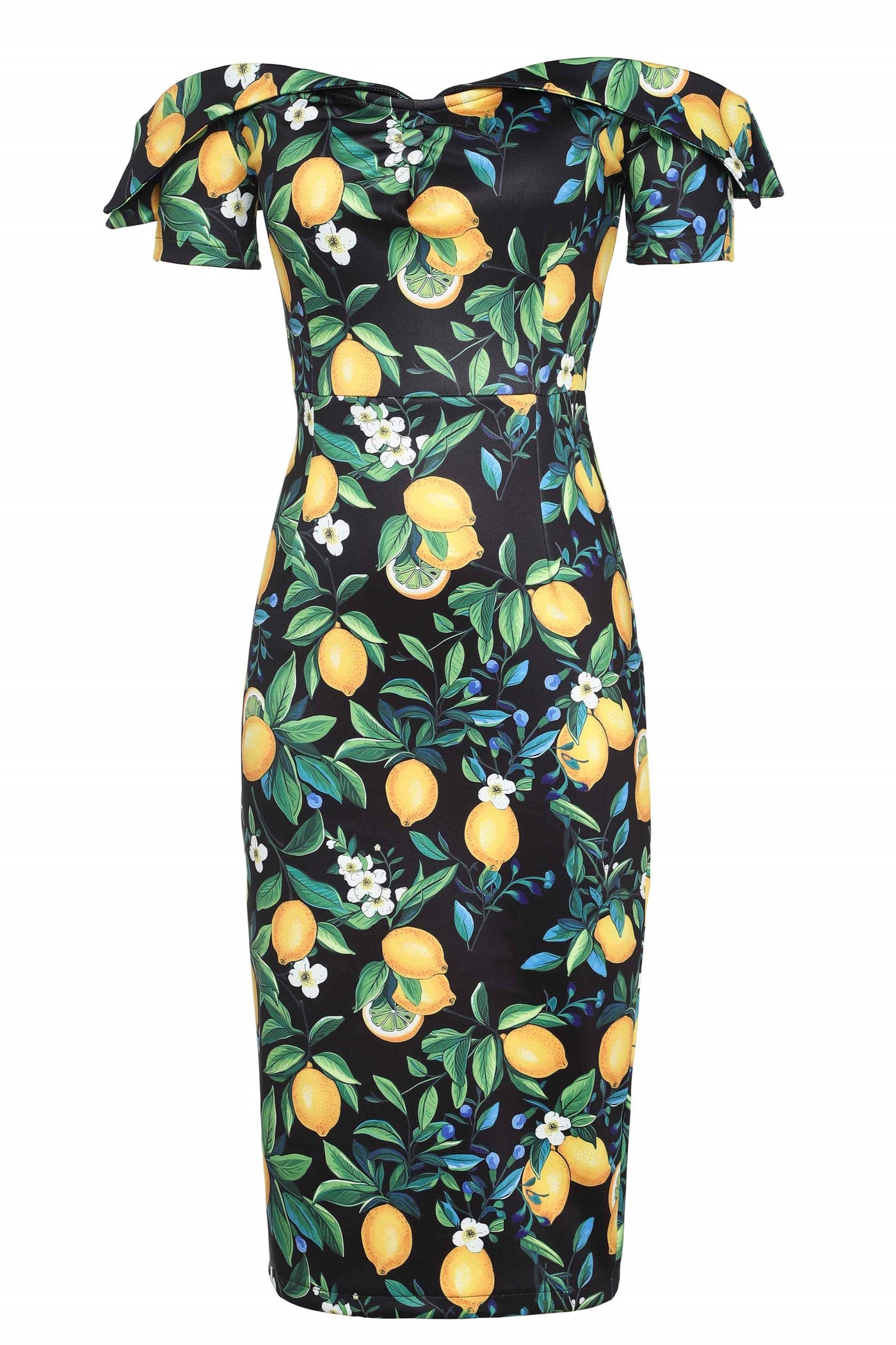 Front view of Black Lemon Pencil Dress