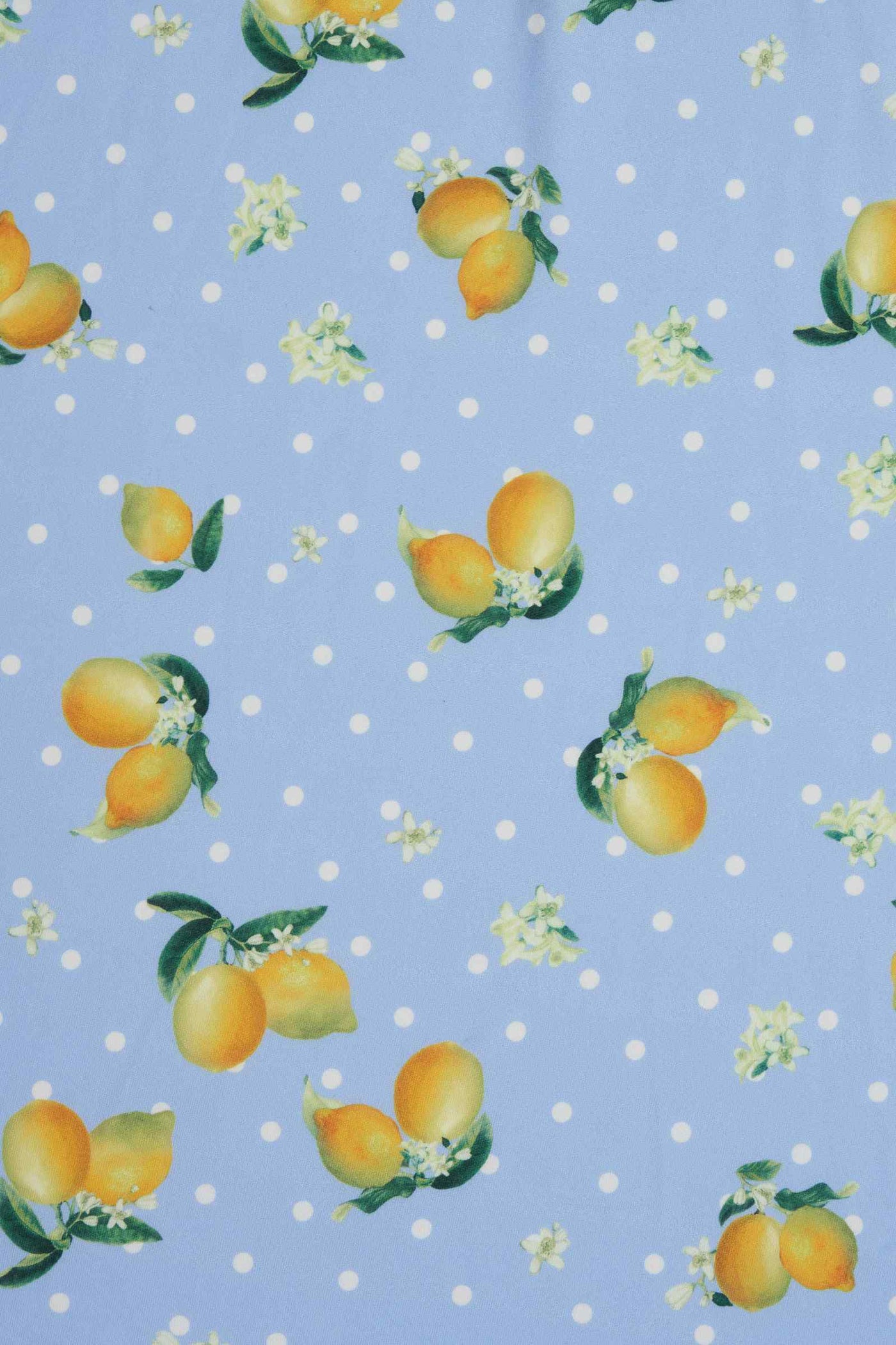 Blue Lemon Petal Sleeved Tea Dress