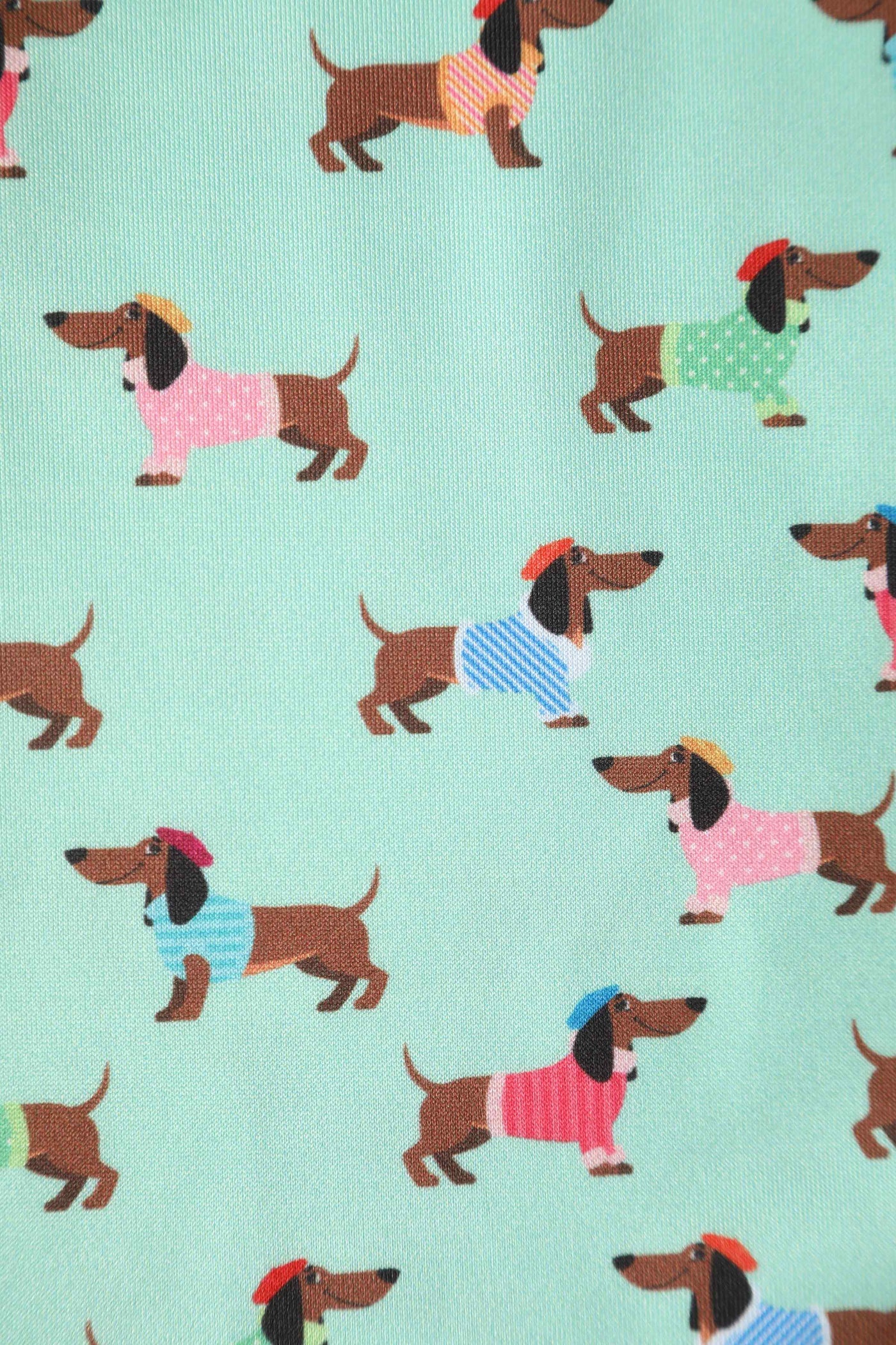 Close up View of Picasso Sausage Dog Flared Dress in Mint