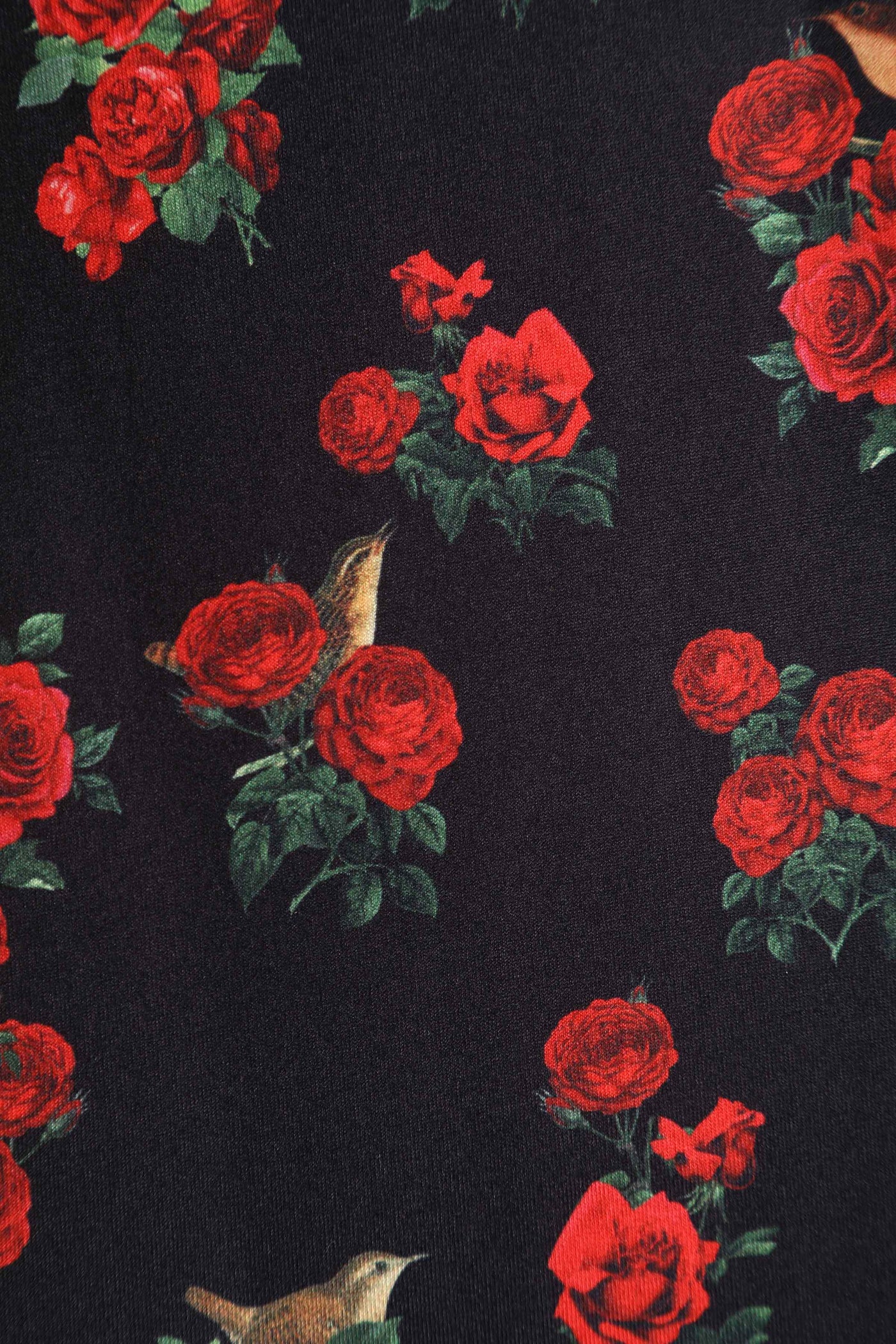 Close up View of Red Rose and Bird Cap Sleeved Swing Dress in black