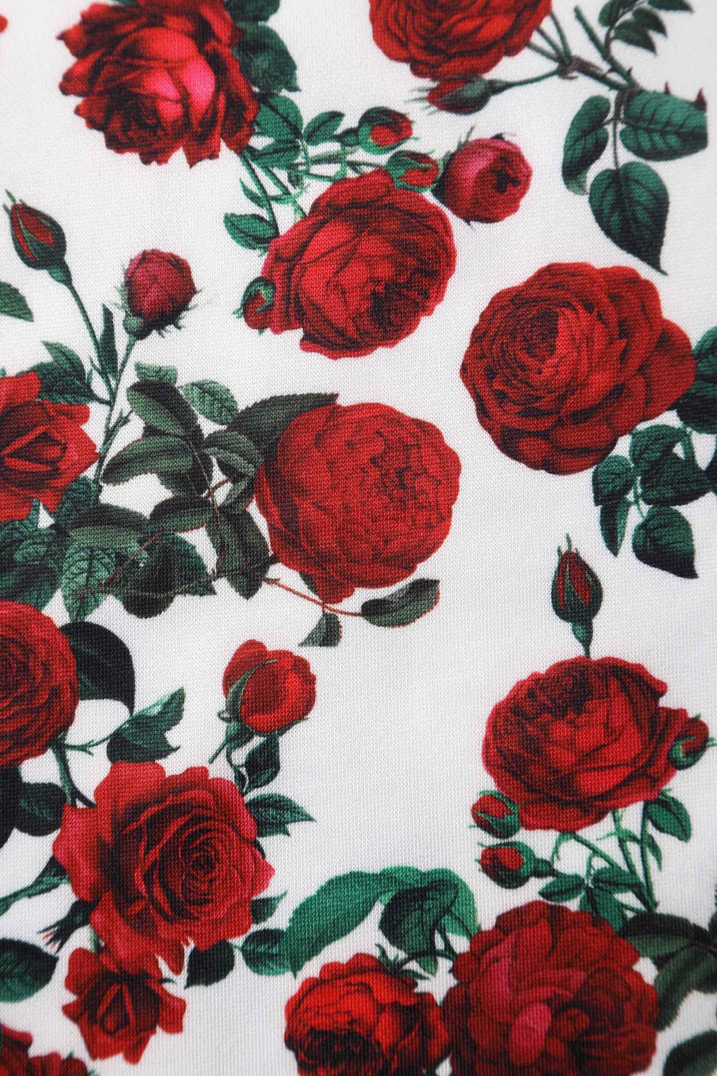 Close up view of Retro Red Rose Dress In White