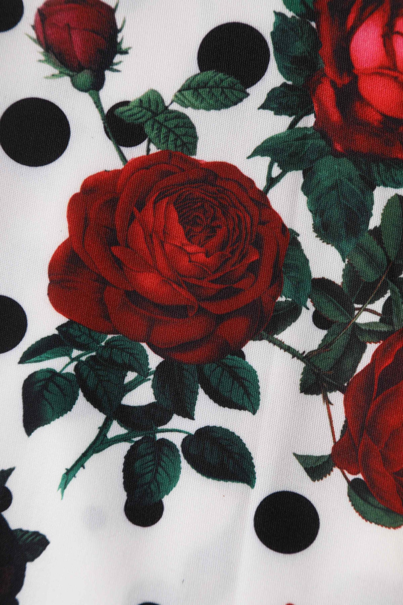 Close up view of Retro Rose & Polk Dot Circle Dress