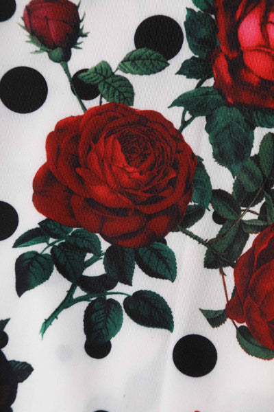Close up view of Retro Rose & Polk Dot Circle Dress