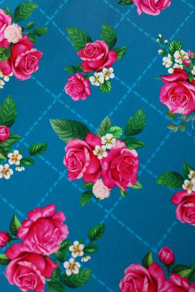Close up view of Mollie Rose Full Circle Shirt Dress In Blue