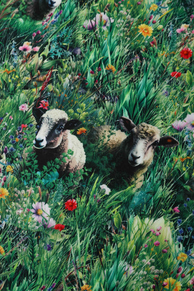Close up view of Sheep Field Off Shoulder Dress