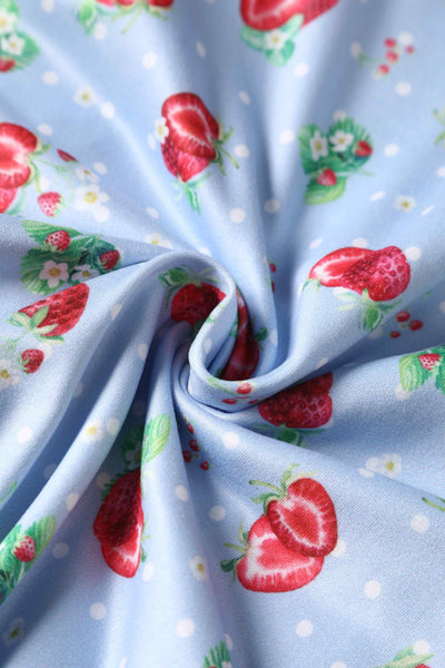 Close up View of Strawberry and Polka Dot Swing Dress in Baby Blue