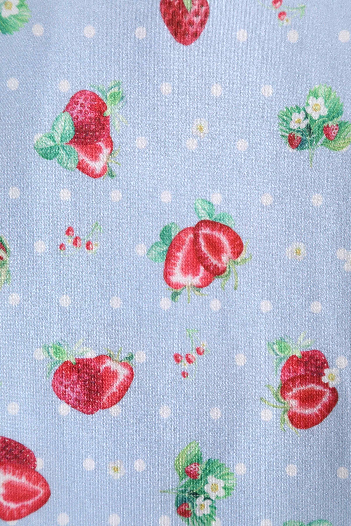 Close up View of Strawberry and Polka Dot Swing Dress in Baby Blue