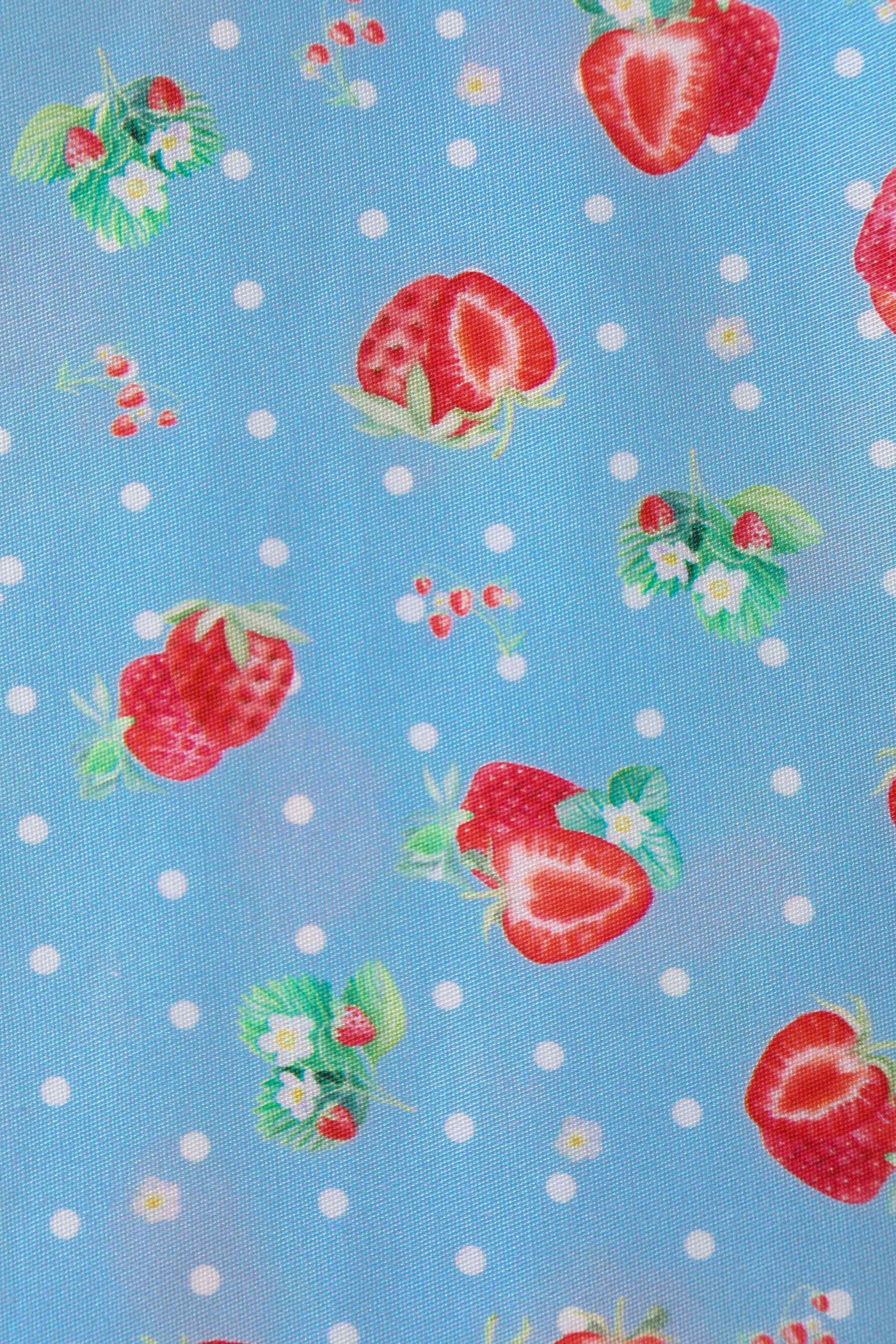 Close up View of Strawberry Pleated Bust Dress in Blue