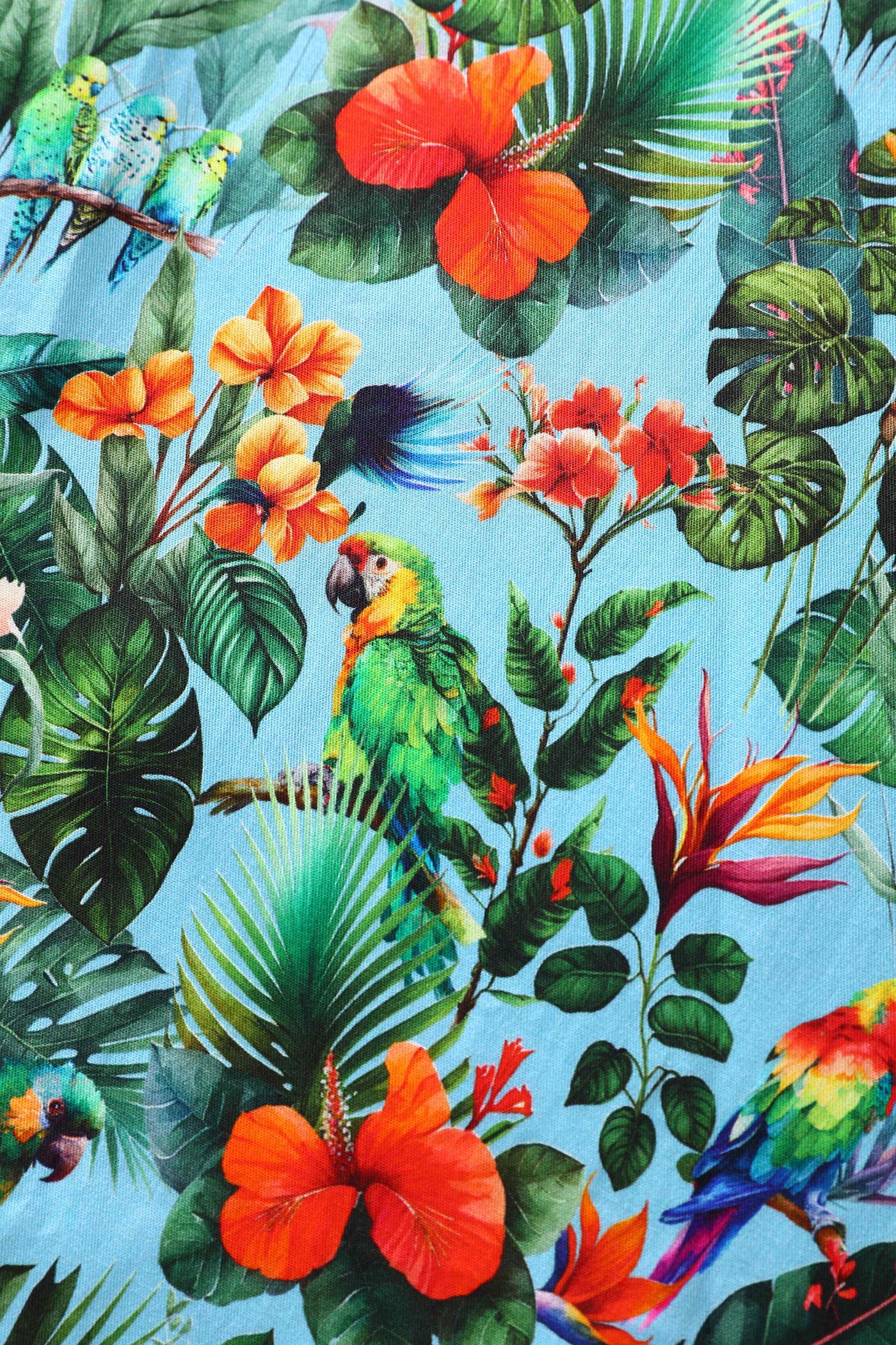 Pattern of Penelope Tropical Parrot Shirt Dress