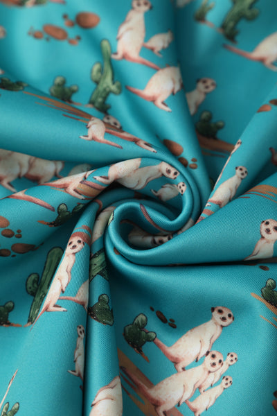 Turquoise Meerkat Swing Dress
