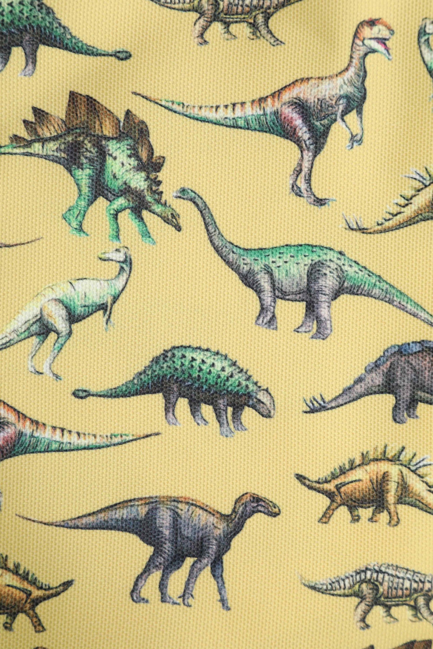 Yellow Antique Dinosaur Print Canvas Bag