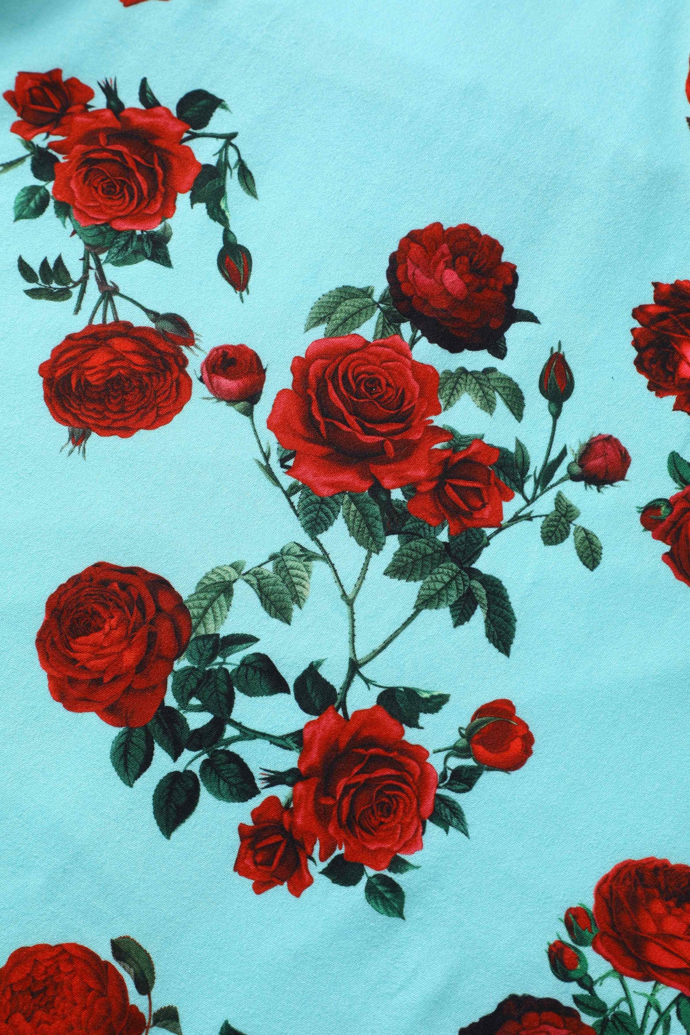 50s Style Red Rose Sleeved Dress in Blue