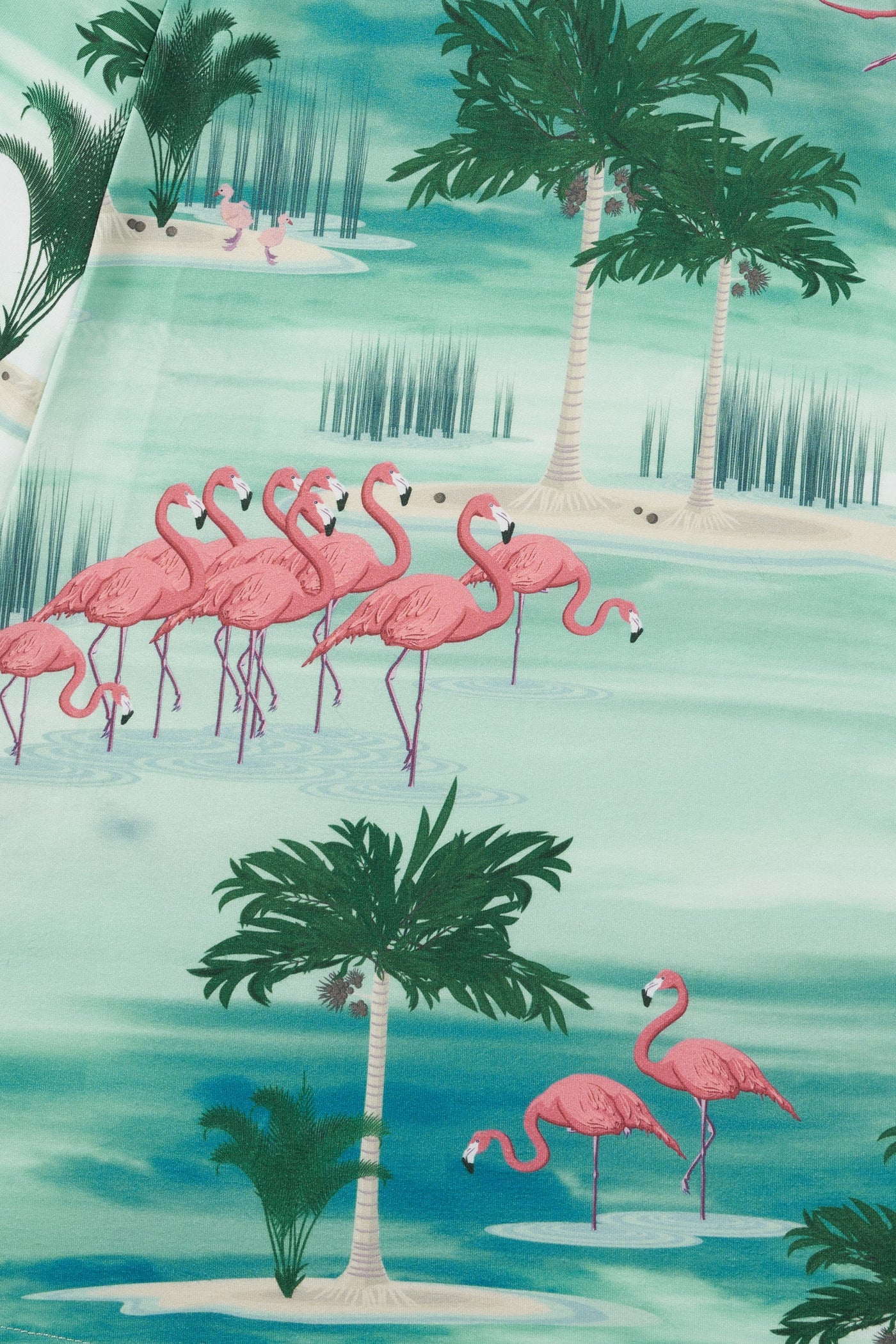 Cap Sleeved A Line Dress In Flamingo Print