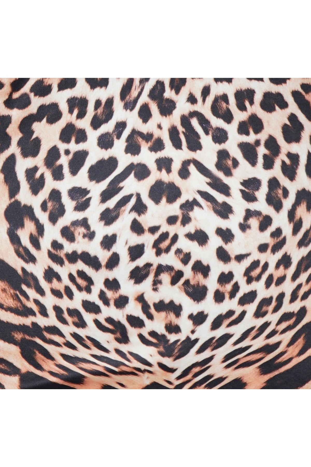 Off Shoulder Leopard Print Top