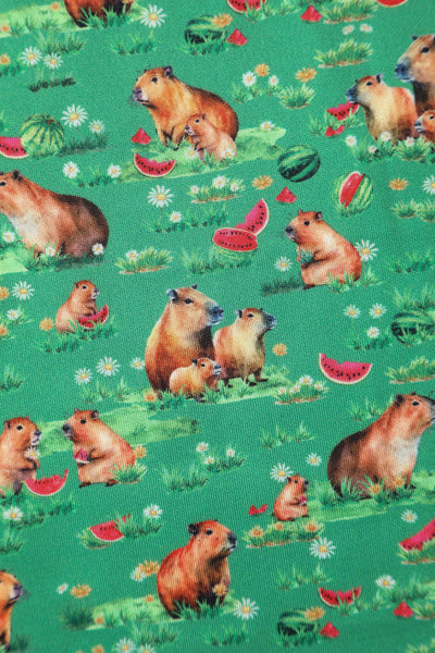 Close up view of Green Flared Dress in Capybara Watermelon Print