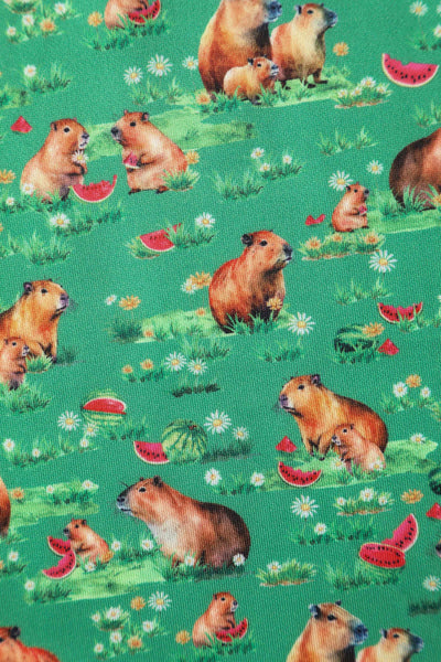 Close up view of Green Flared Dress in Capybara Watermelon Print