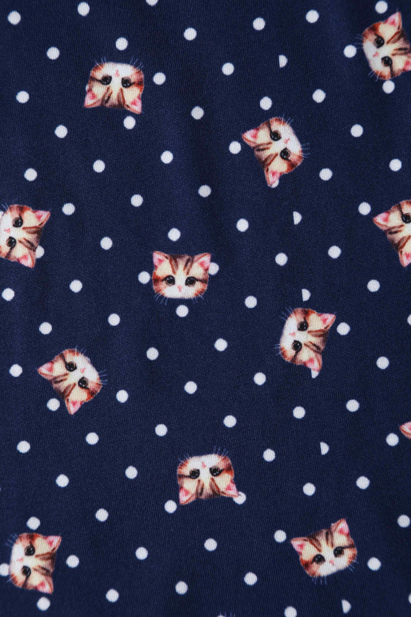 Close up View of Cat Face Blue Long Sleeved Dress