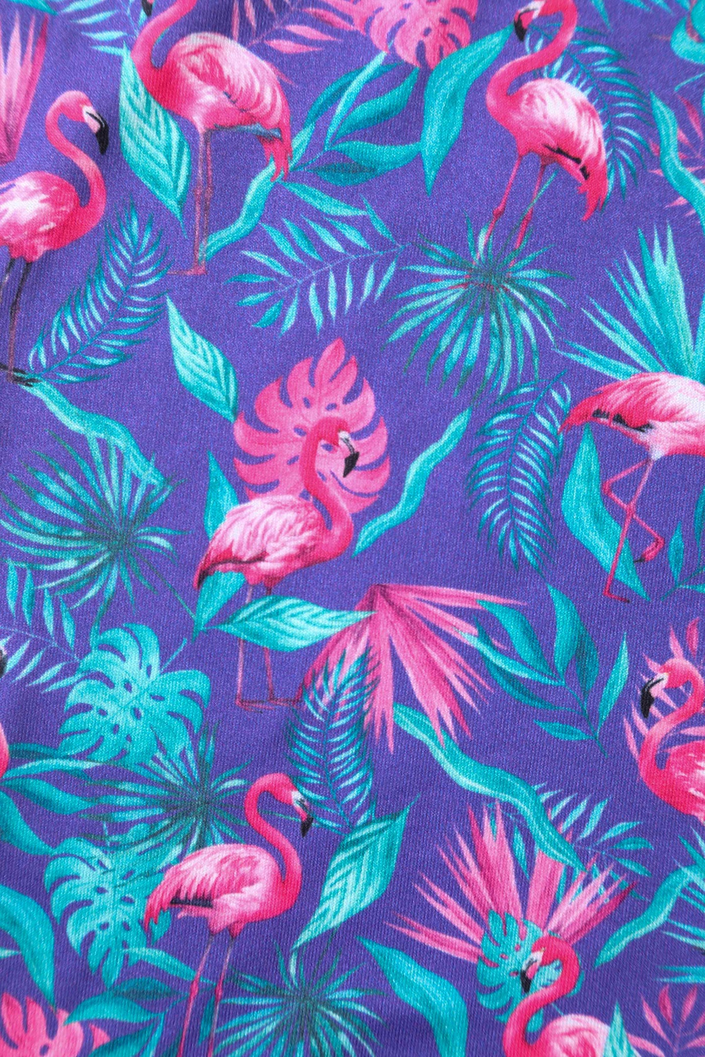 Close up view of Flamingo Long Sleeved Dress in Purple