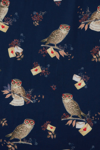 hogwart-harry-potter-blue-owl-letter-post-print