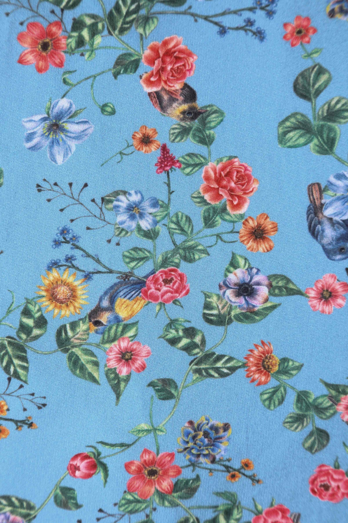 Close up view of Hummingbird Print Long Sleeved Dress in Blue