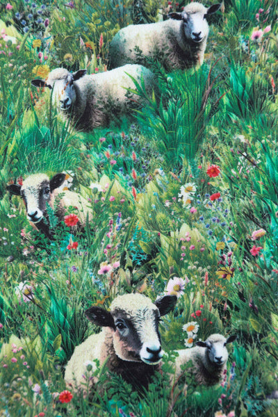 Lambs and sheep in the field print swing dress