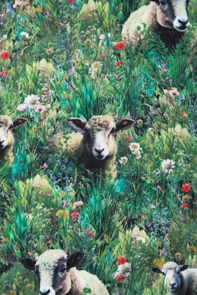 Lambs and sheep in the field print swing dress