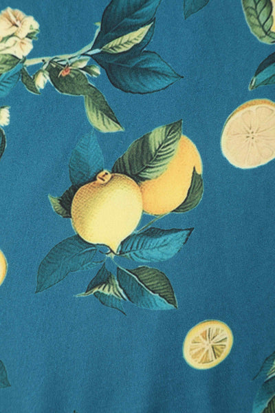 Close up View of Lemon Print Short Sleeved Dress in Blue