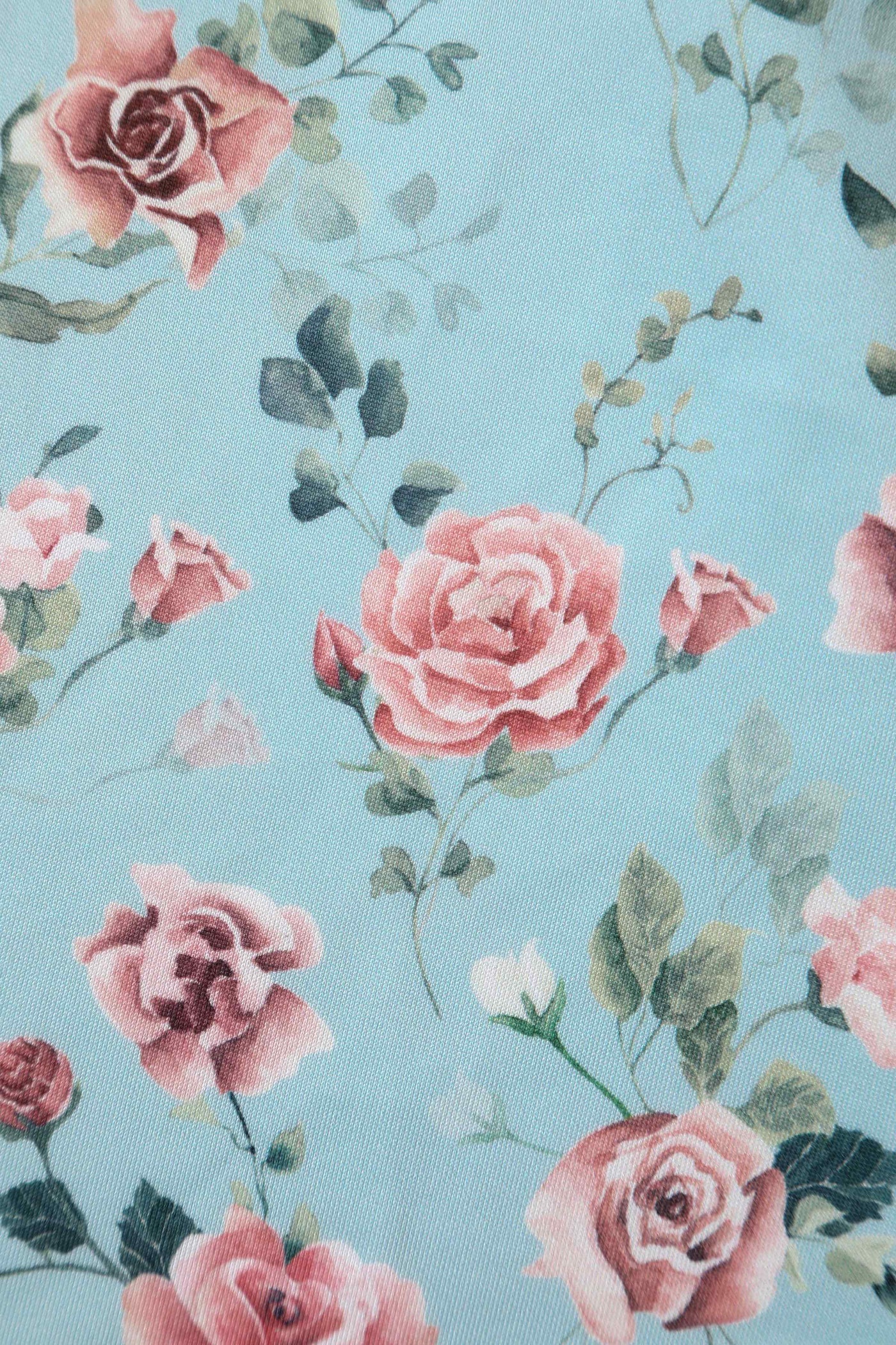 Close up View of Rose Baby Blue Formal A Line Dress